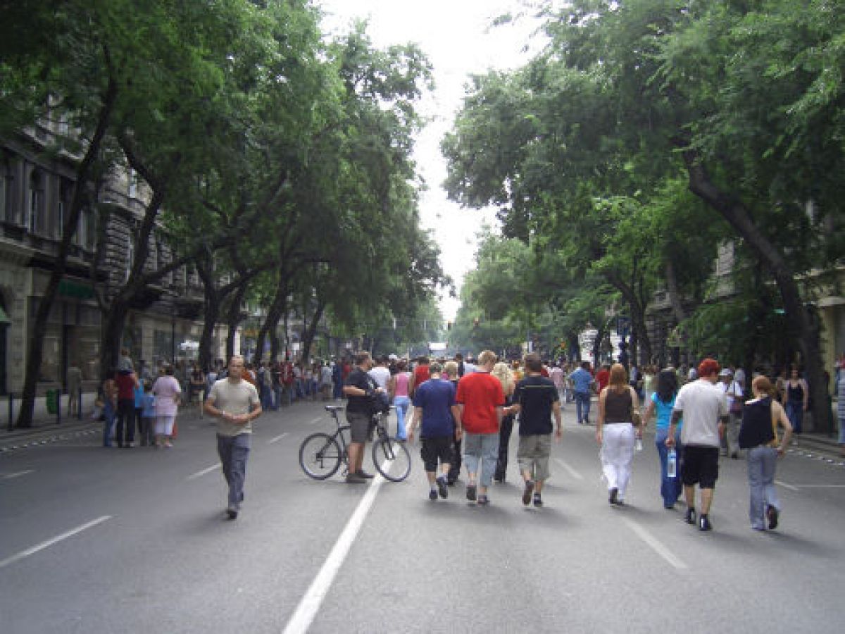 Budapest Parade 2005 / g_1_0_cimg0046.jpg